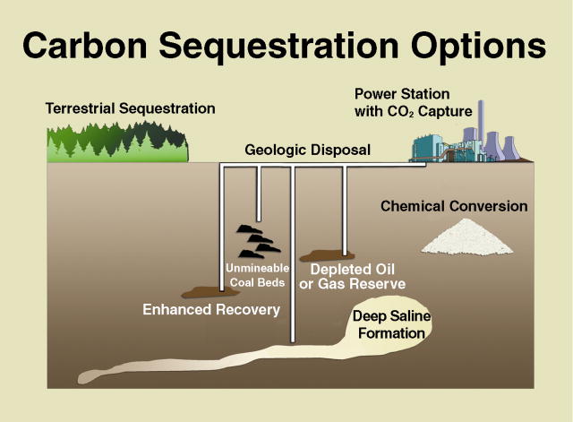 Flue Gases